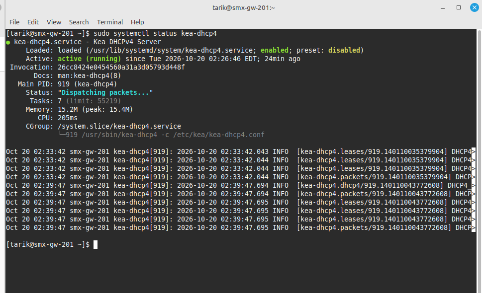 dhcp status